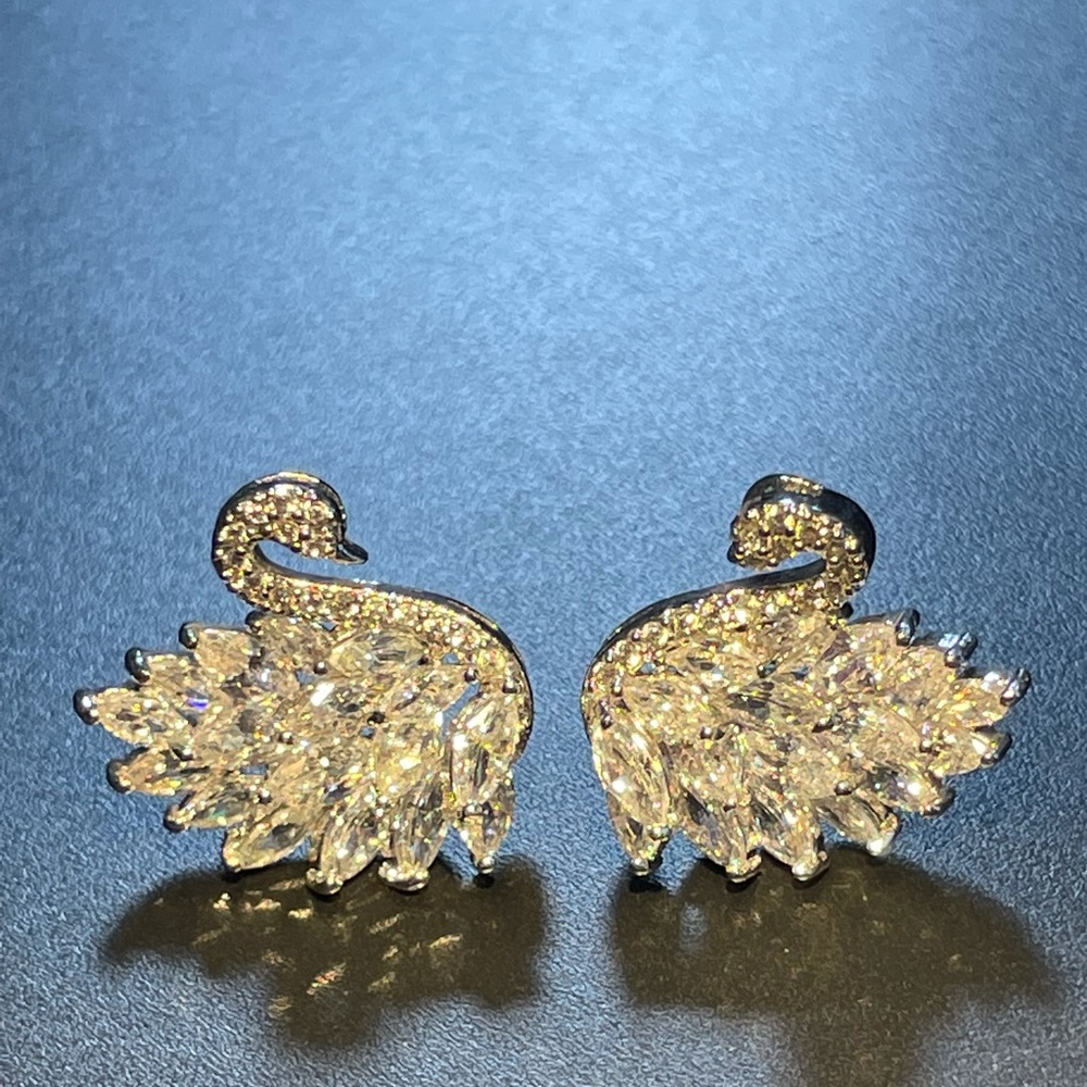 Zirconia Earrings New